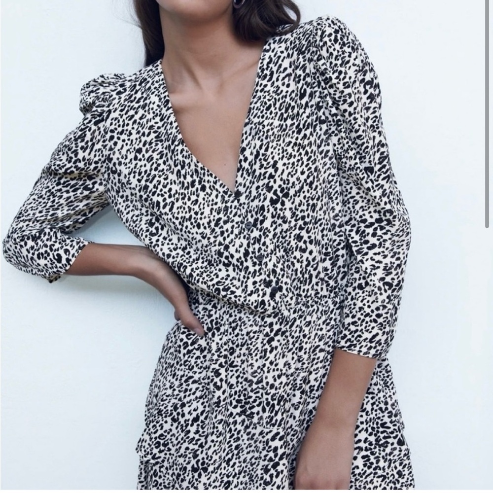 Zara Leopard Print mini Dress